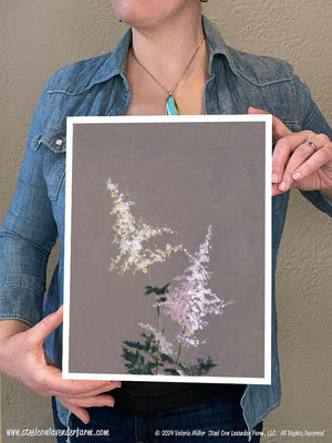 Astilbe (Canvas and Paper Print)