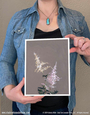 Astilbe (Canvas and Paper Print)