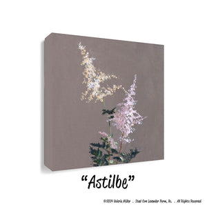 Astilbe (Canvas and Paper Print)