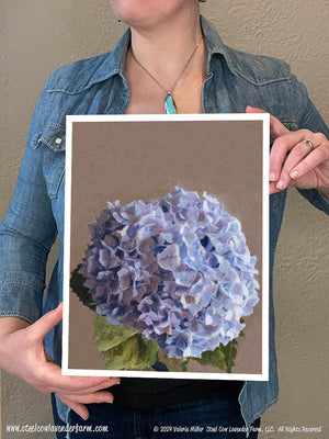 Blue Hydrangea (Canvas and Paper Print)