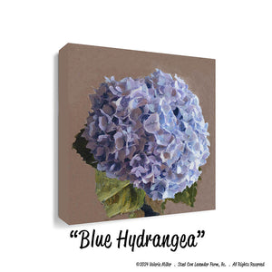 Blue Hydrangea (Canvas and Paper Print)