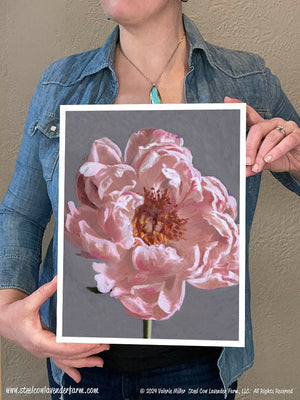 Coral Charm Peony (Canvas and Paper Print)