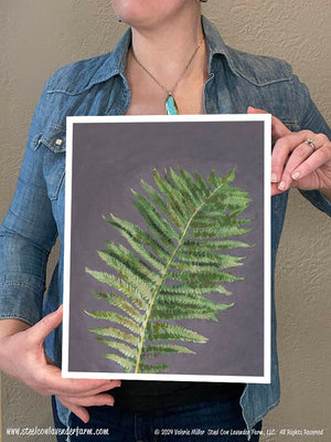 Fern (Canvas and Paper Print)