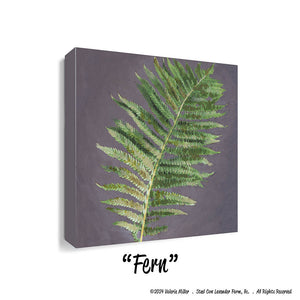 Fern (Canvas and Paper Print)