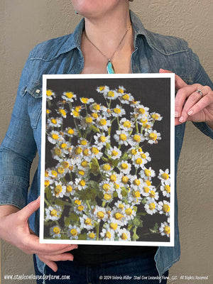 Feverfew (Canvas and Paper Print)