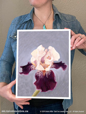 Iris (Canvas and Paper Print)