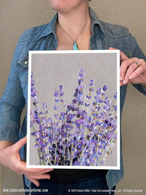 Lavender (Canvas and Paper Print)