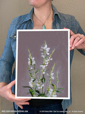 Obedient Plant (Canvas and Paper Print)