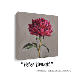 Peter Brand Peony (Canvas and Paper Print)