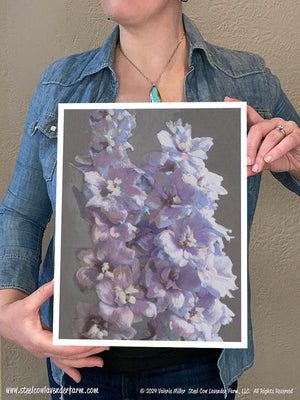 Raider Blue Delphinium (Canvas and Paper Print)