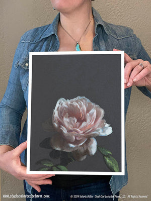 Rose 1 (Canvas and Paper Print)