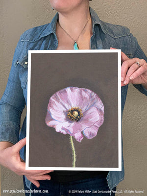 Shirley Poppy (Canvas and Paper Print)