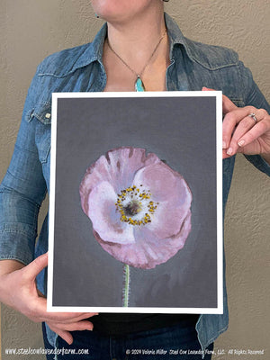 Shirley Poppy 2 (Canvas and Paper Print)