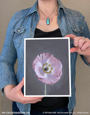 Shirley Poppy 2 (Canvas and Paper Print)