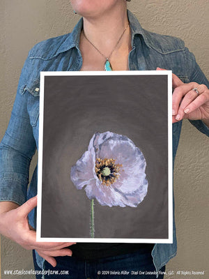 Shirley Poppy 3 (Canvas and Paper Print)