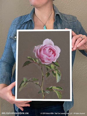 Single Pink Rose (Canvas and Paper Print)