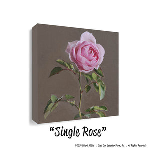 Single Pink Rose (Canvas and Paper Print)