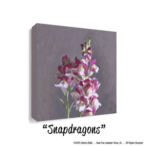 Snapdragons (Canvas and Paper Print)