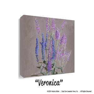 Veronica (Canvas and Paper Print)