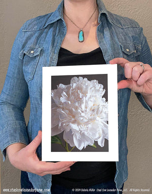 White Peony Canvas/Paper Print