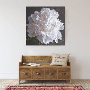 White Peony Canvas/Paper Print