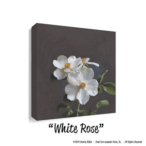 White Roses (Canvas and Paper Print)