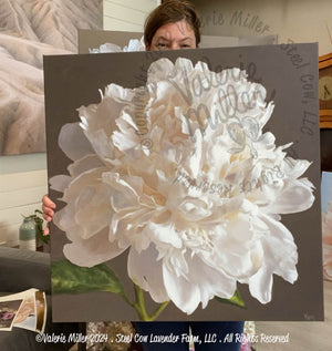 White Peony Original Painting